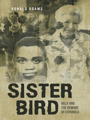 cover image of Sister Bird